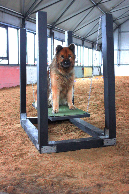 Fit und Fun - Balance